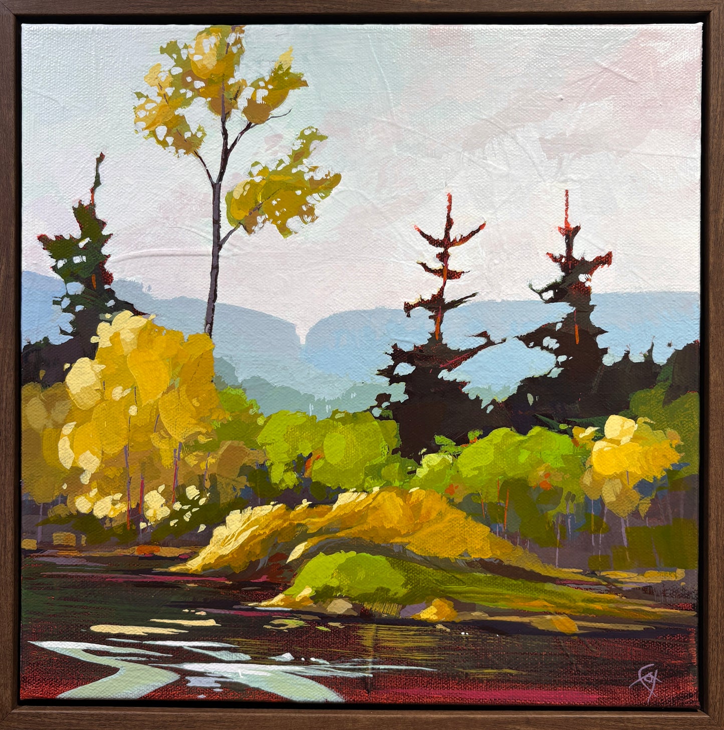 Shoreline Sentinels