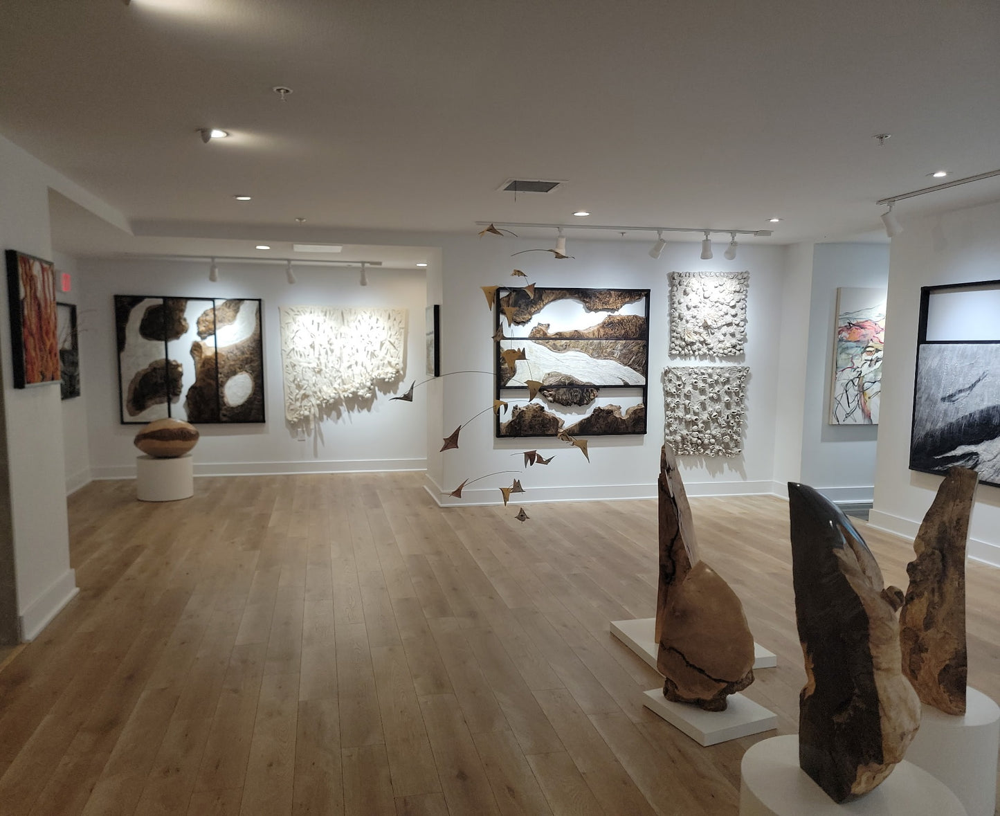 Reflections in Rivulets