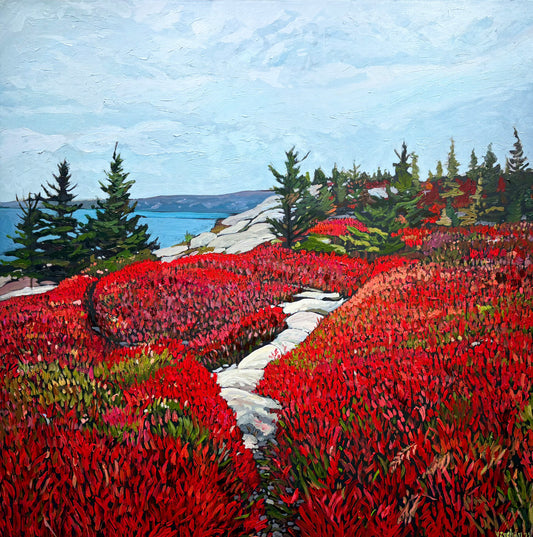 Towards the Lookoff, Herring Cove