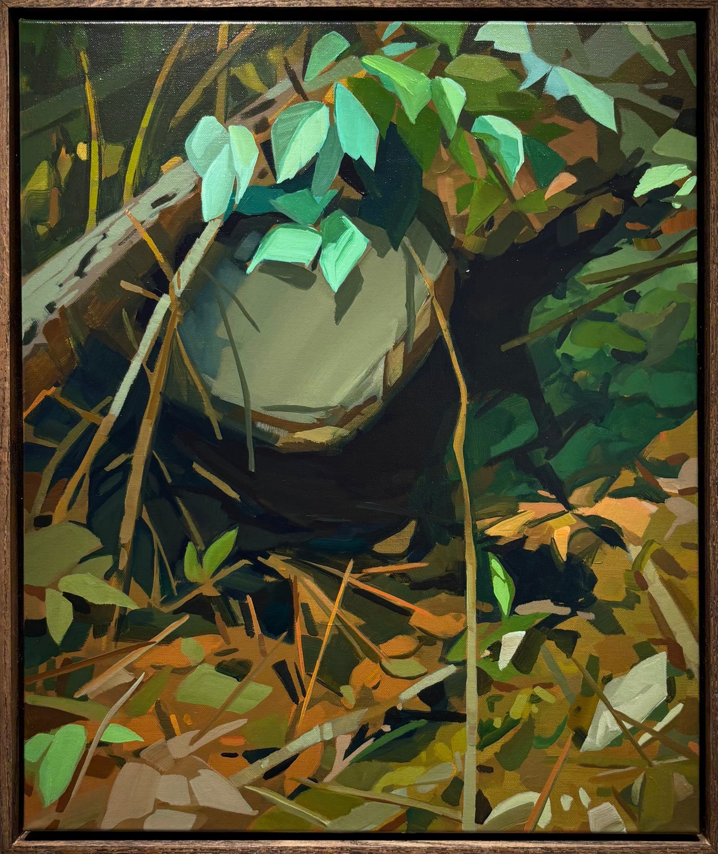 Under a Rock
