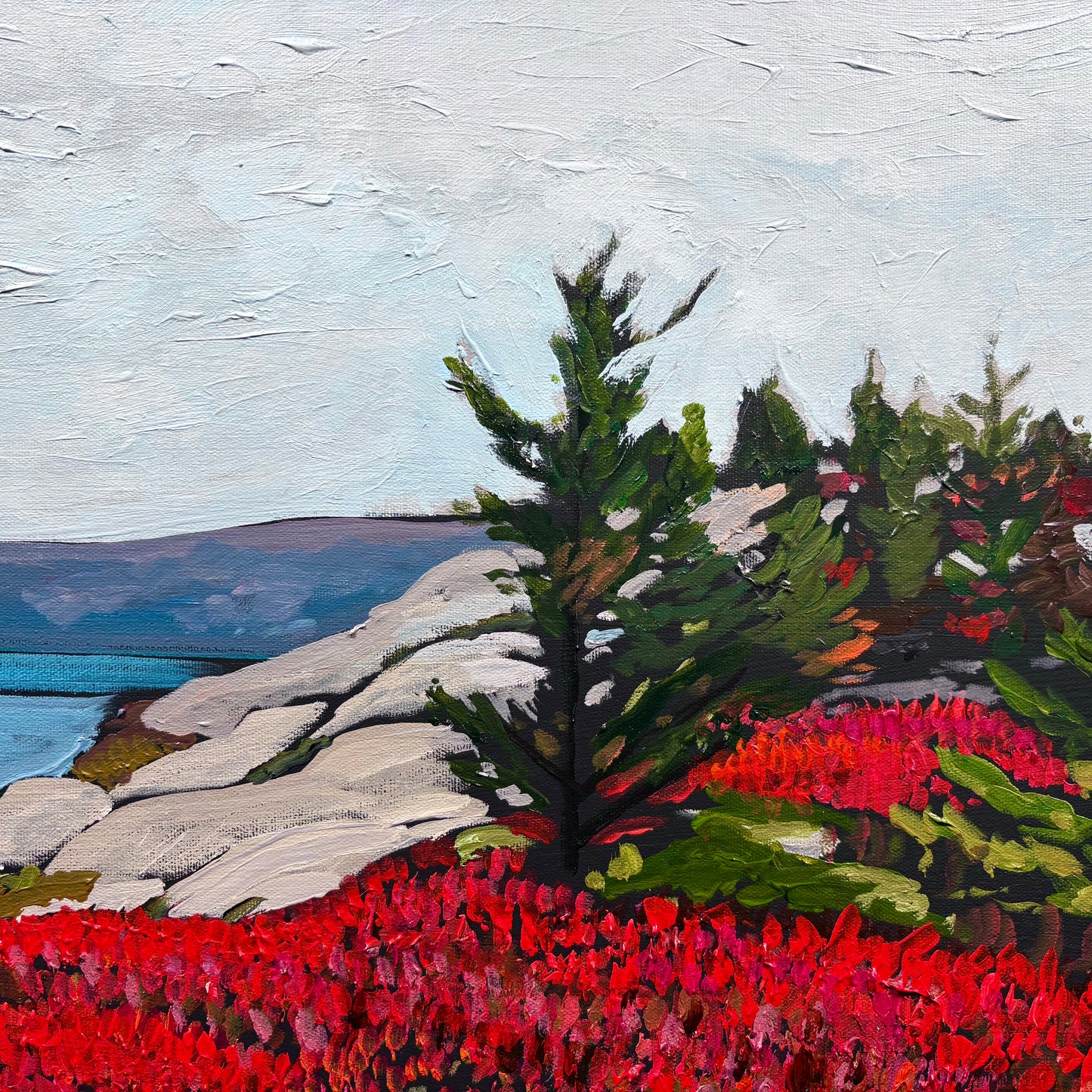 Towards the Lookoff, Herring Cove