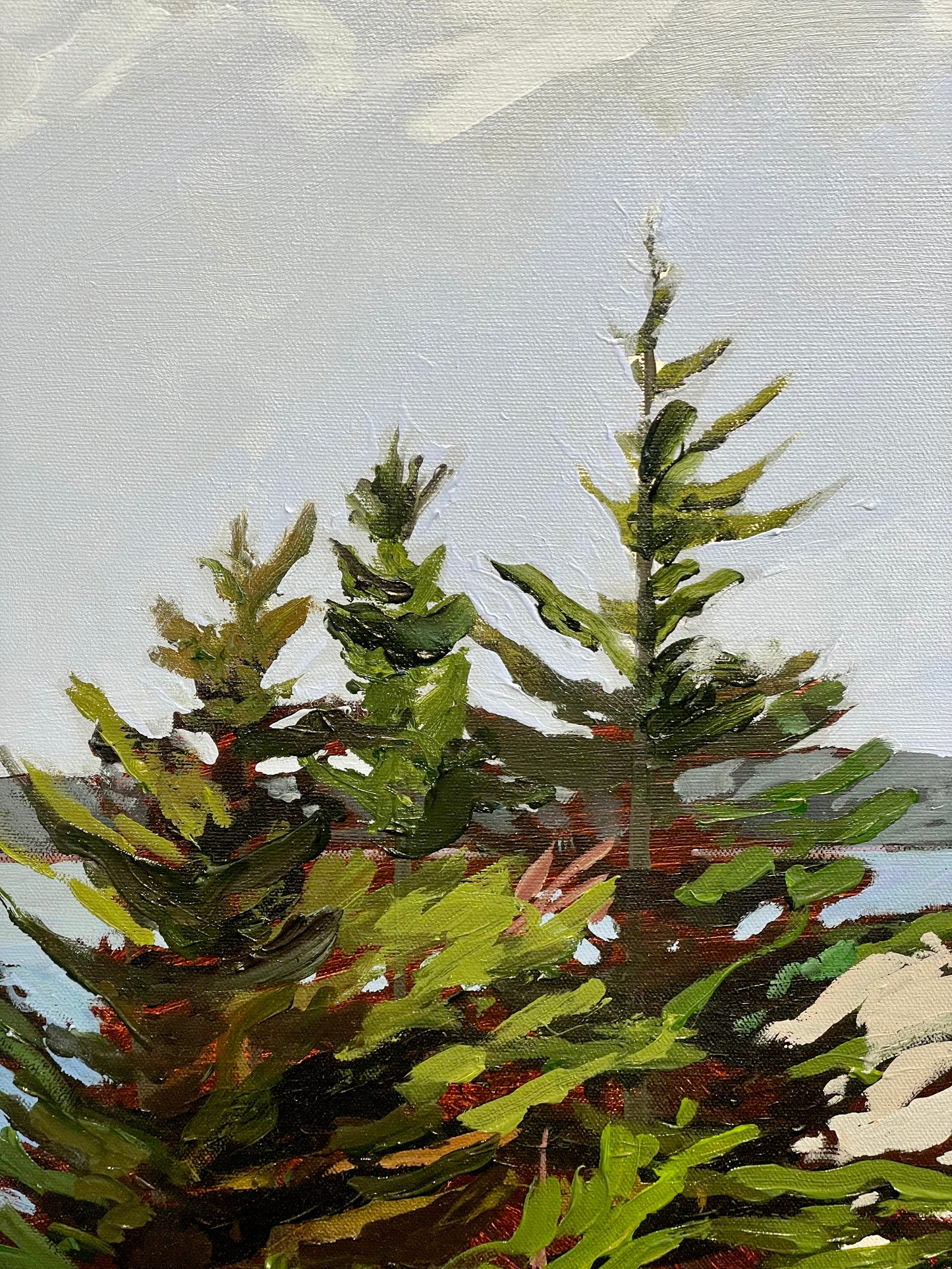 Granite Trail, Herring Cove, NS