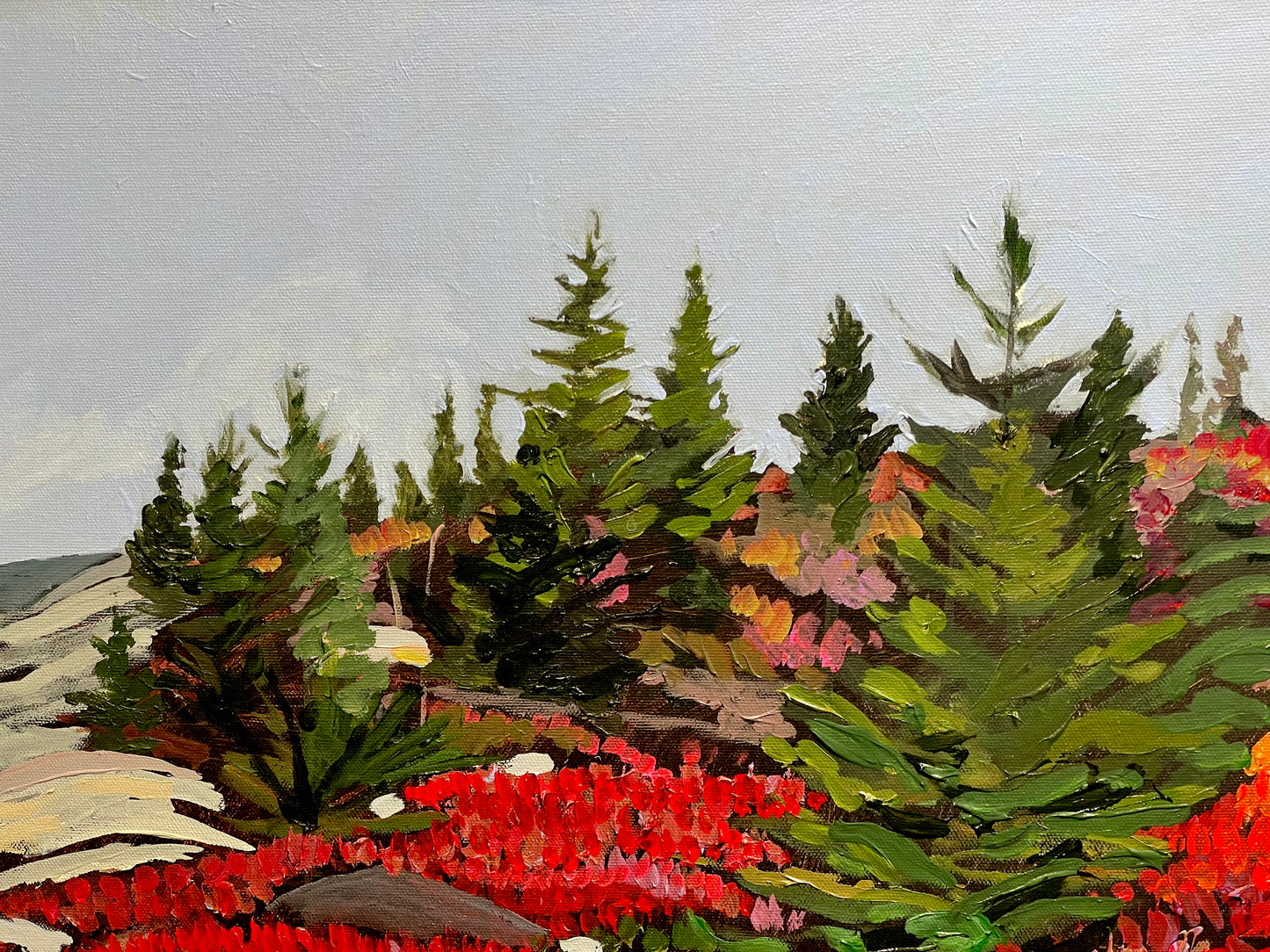 Granite Trail, Herring Cove, NS