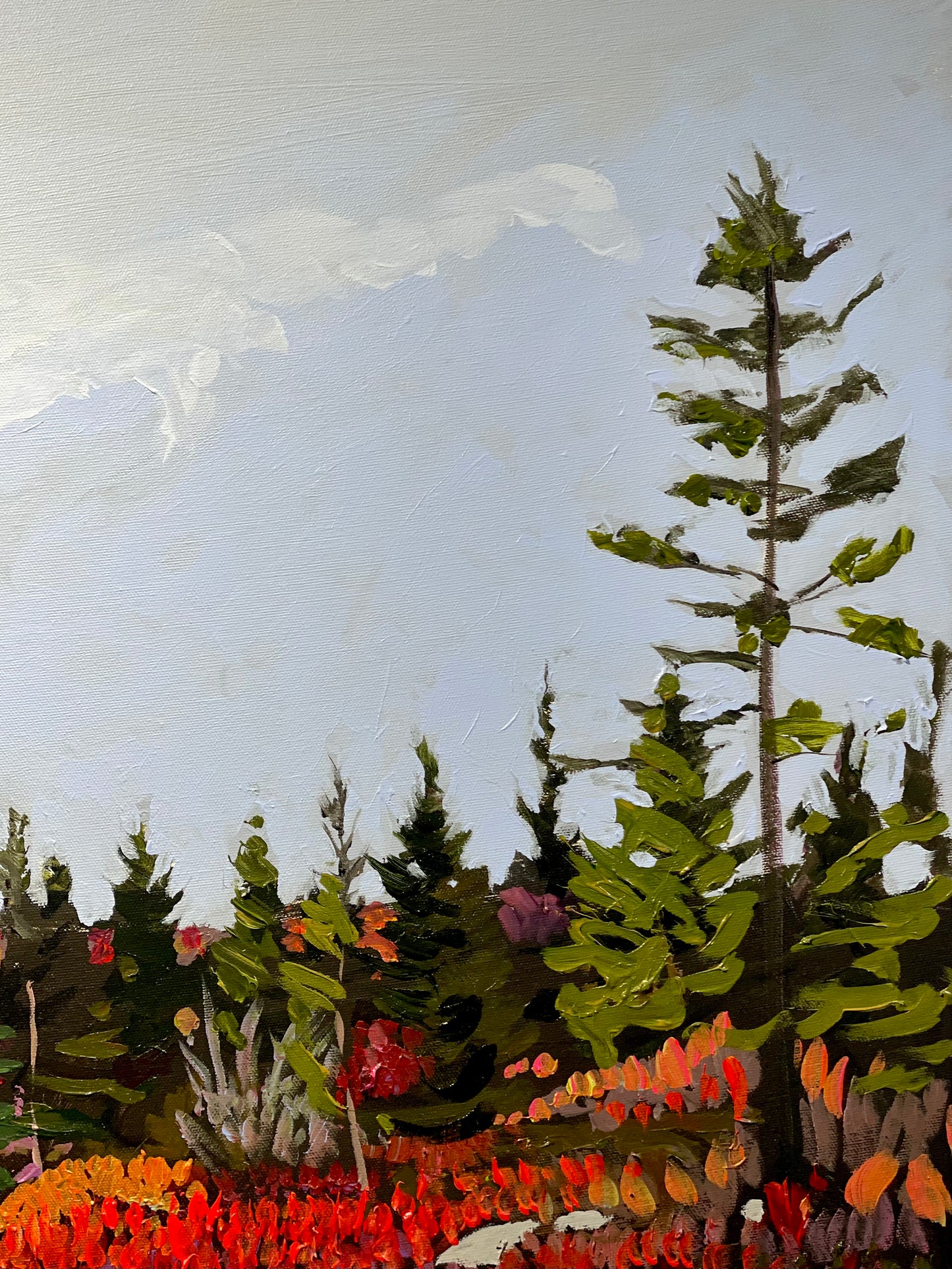 Granite Trail, Herring Cove, NS