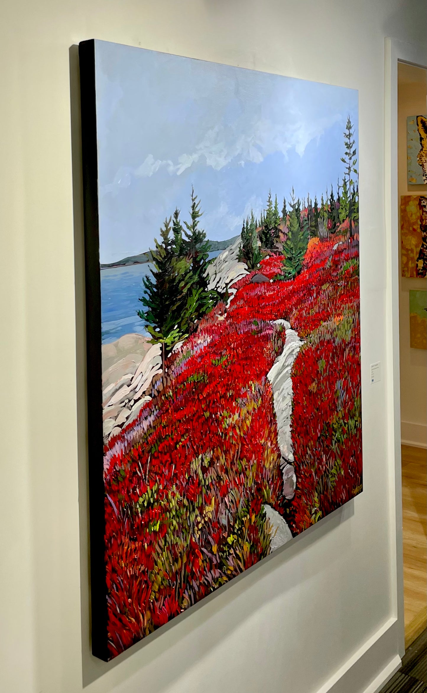 Granite Trail, Herring Cove, NS
