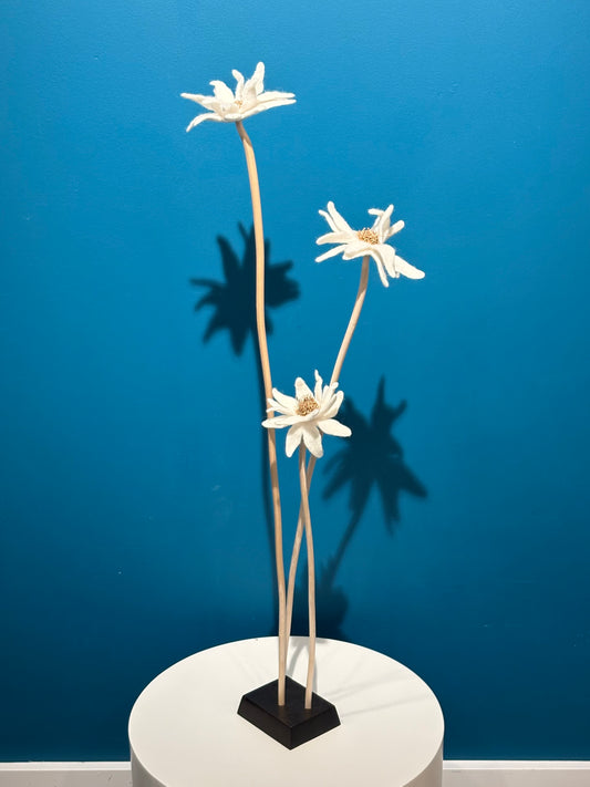 KUKKA #24 (TRIPLE STEM)