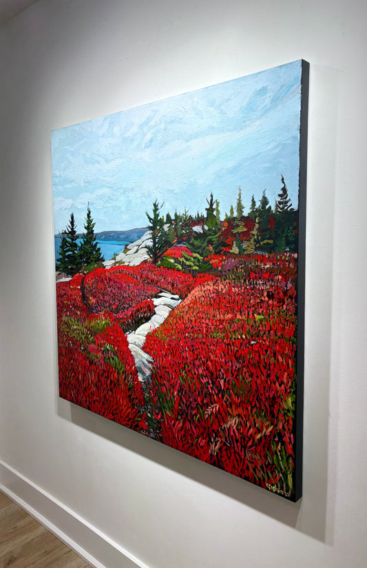 Towards the Lookoff, Herring Cove