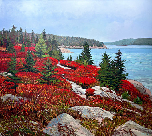 Looking Towards Halifax Harbour