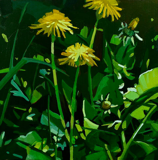 Dandelions