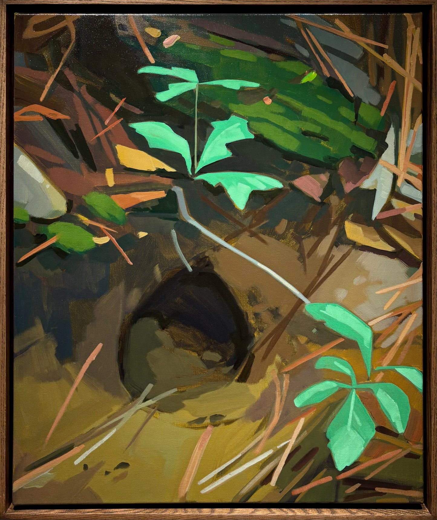 Critter Home
