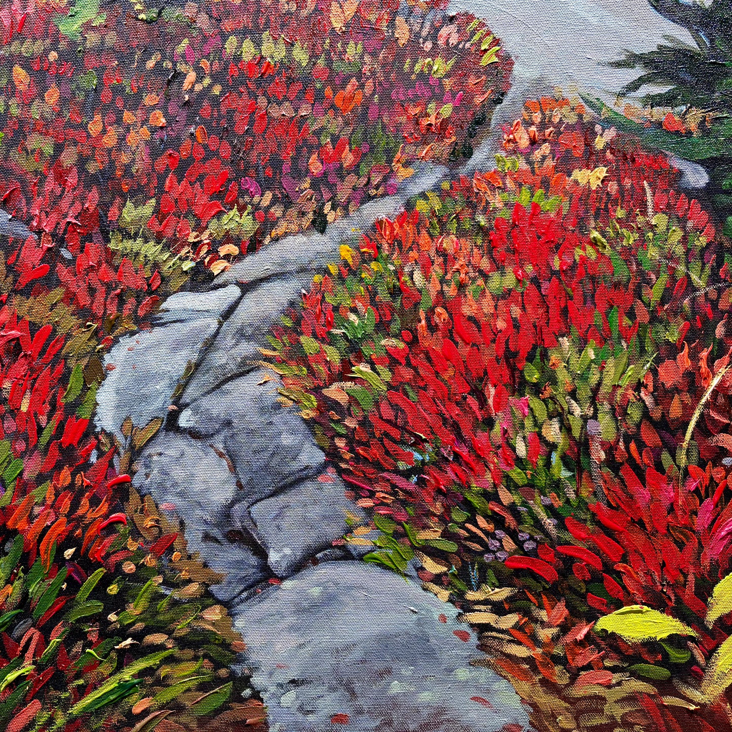 The Trail Home