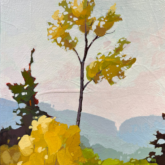 Shoreline Sentinels