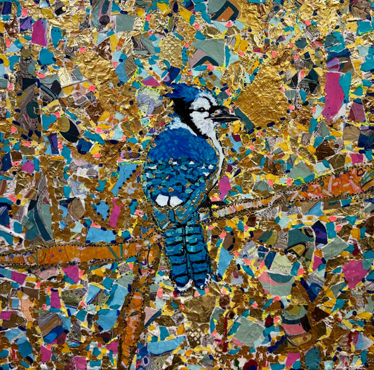 Colourful Bluejay