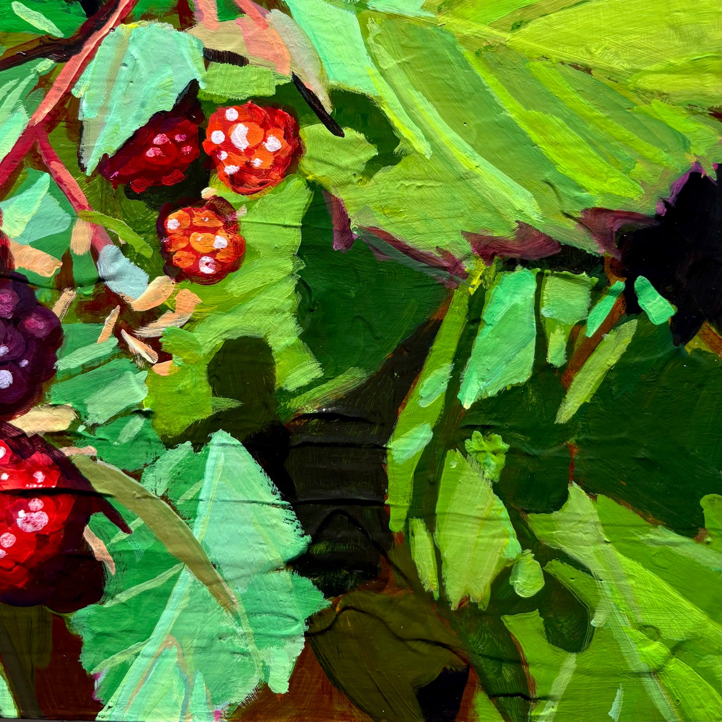 Blackberry Study