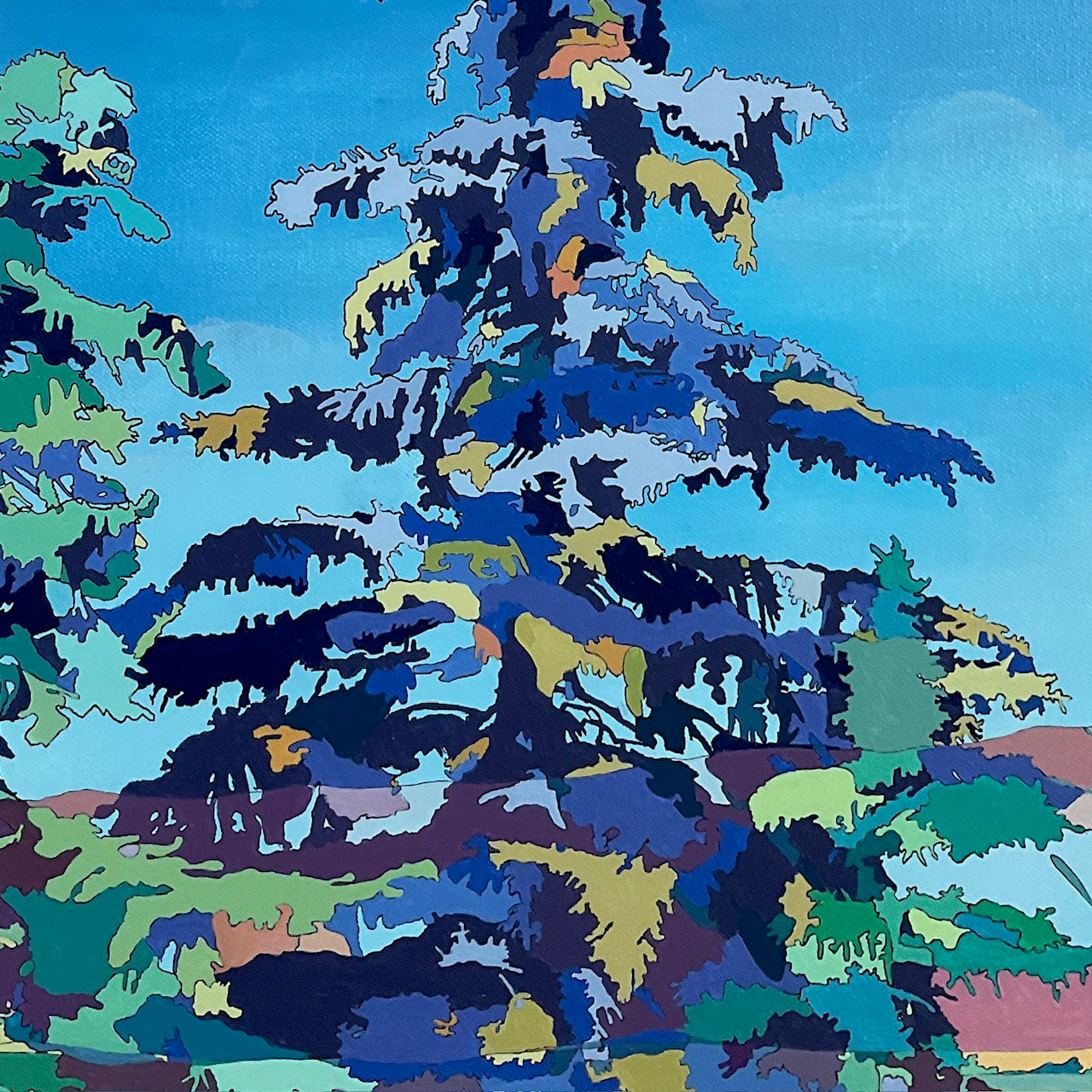 Blue Spruce