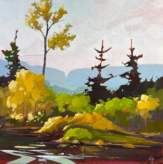Shoreline Sentinels