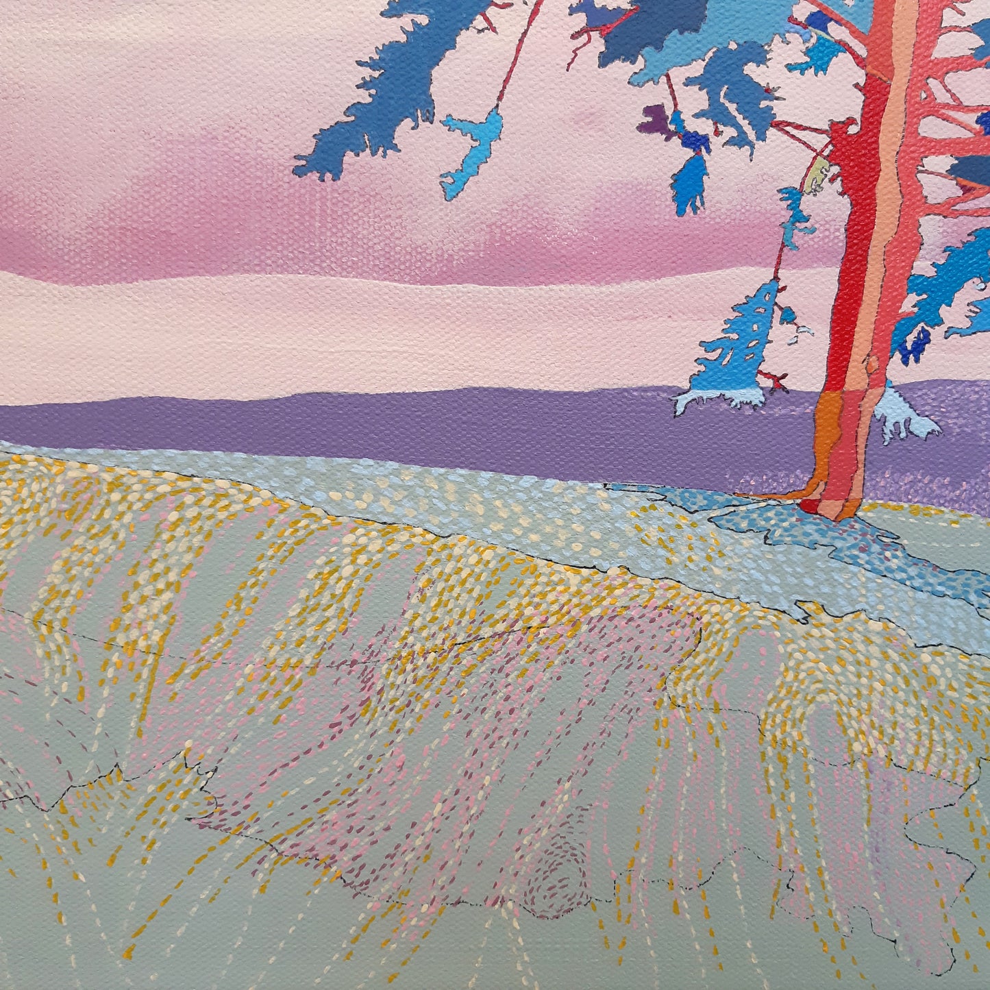 Blue Spruce