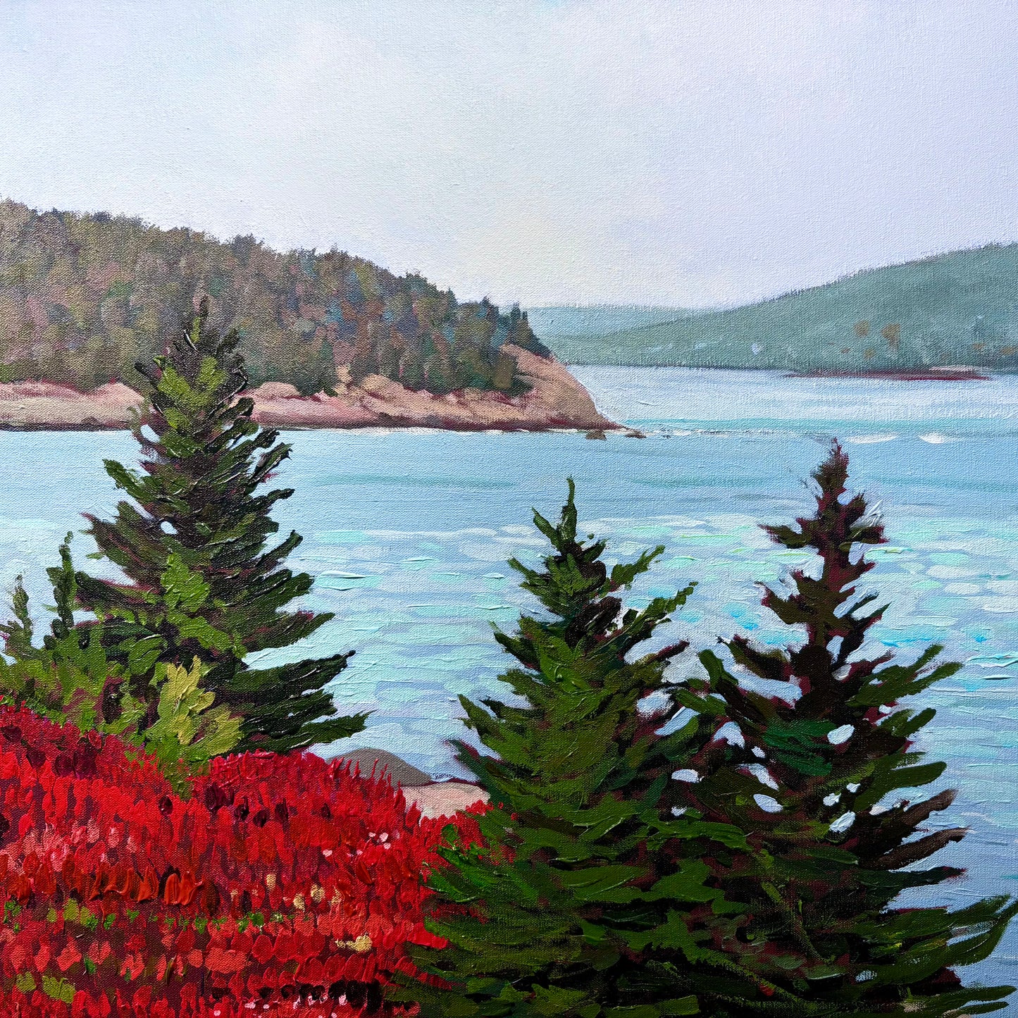 Looking Towards Halifax Harbour