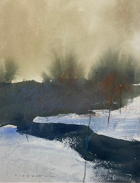 Silent Woods Silent Brook