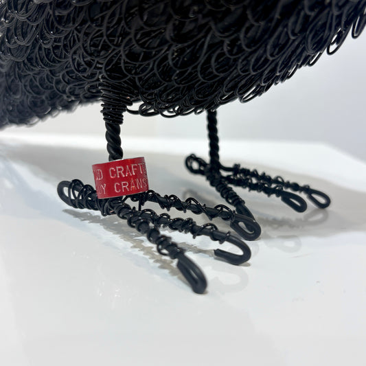 Storyteller (Crow)