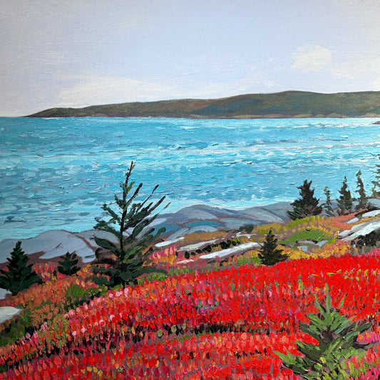 Herring Cove Views