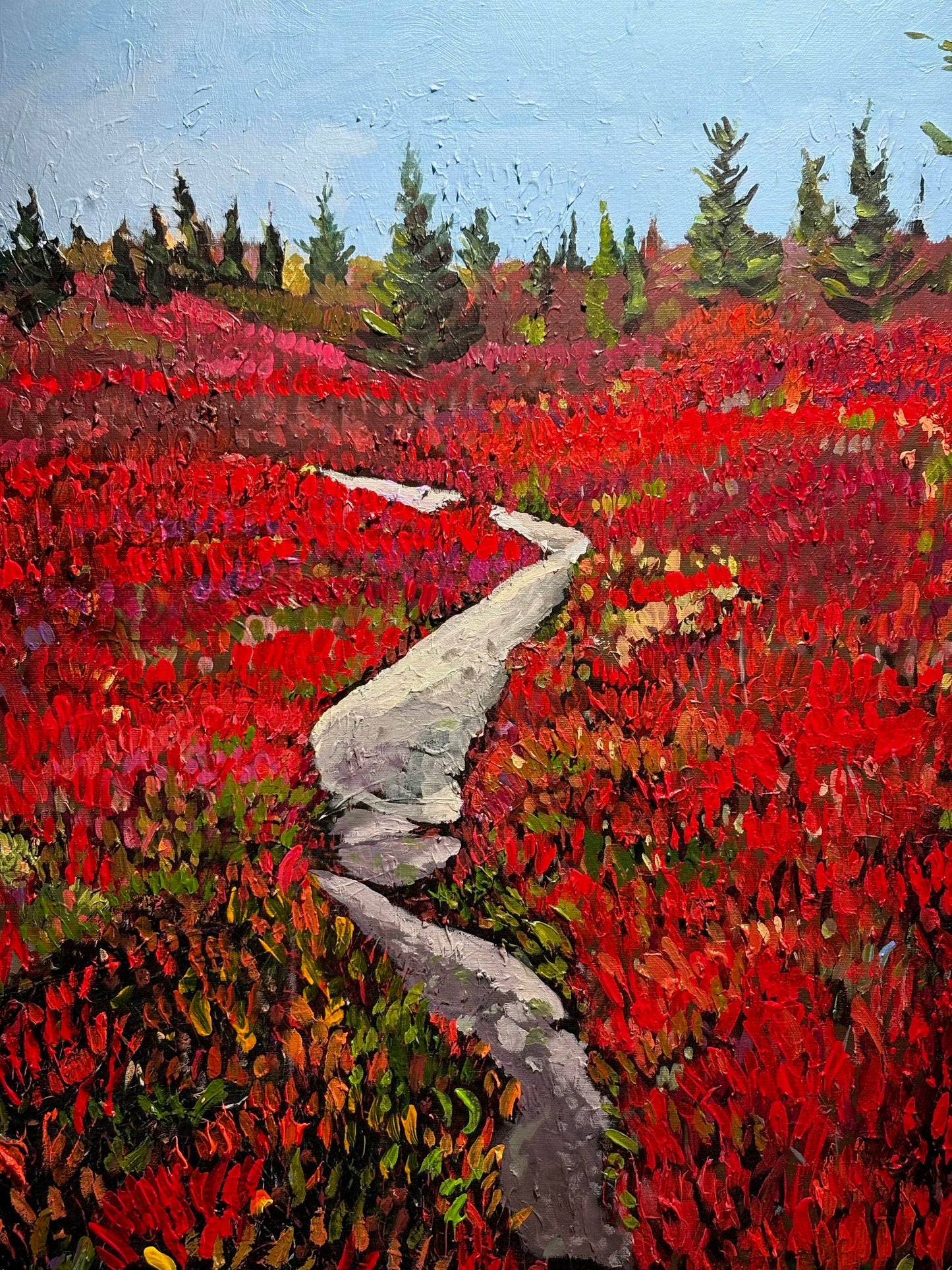 Autumn Trail