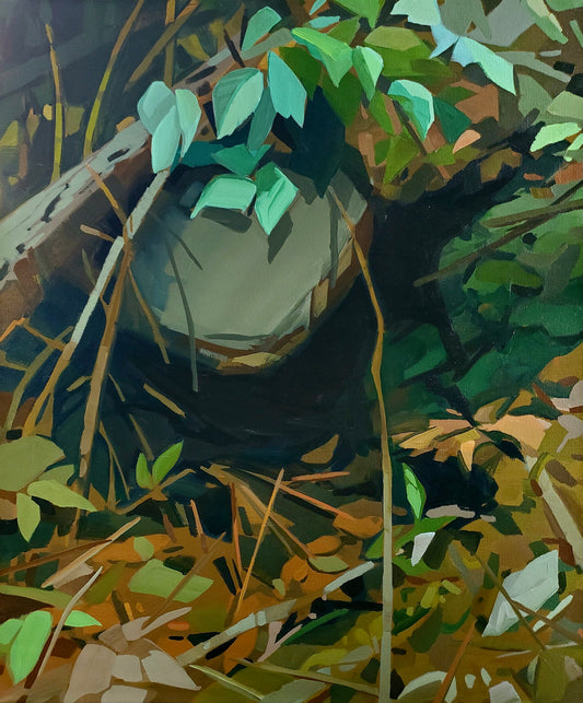 Under a Rock