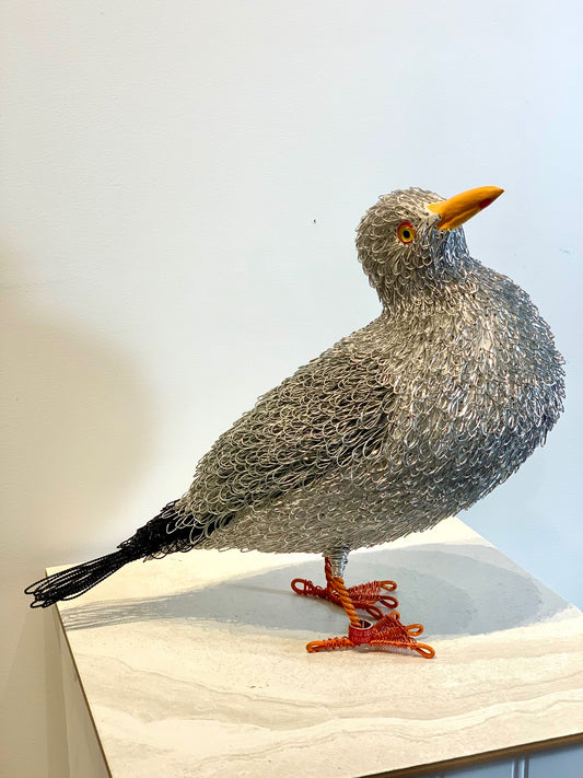 Harbour Master (Herring Gull)