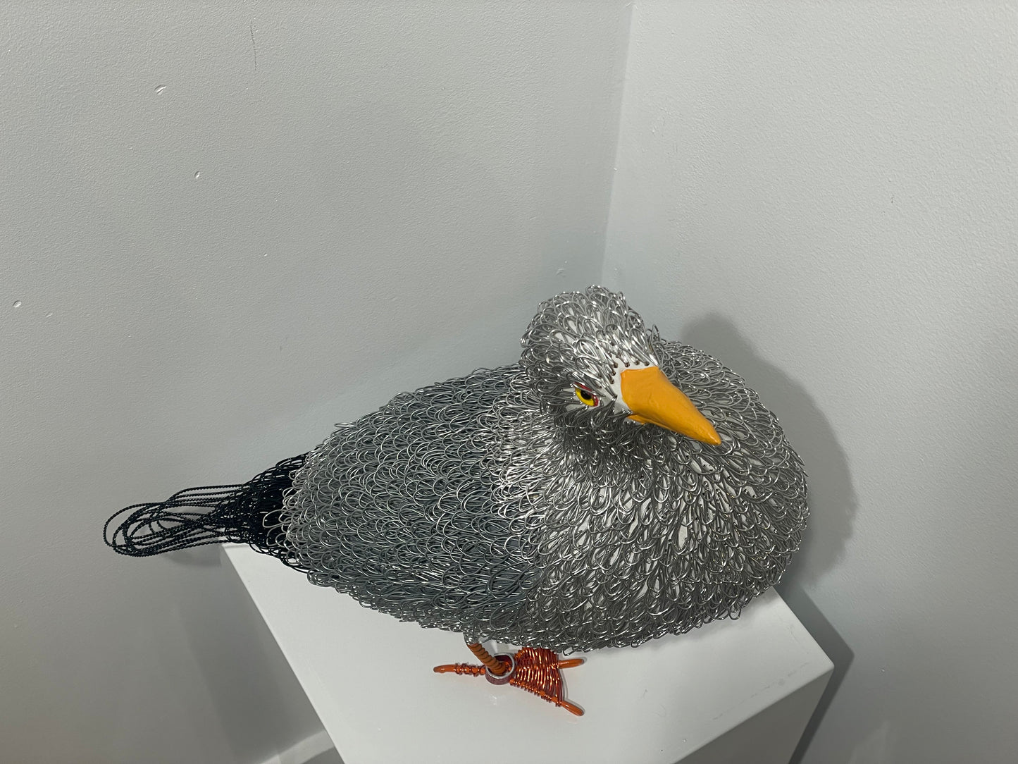Harbour Master (Herring Gull)