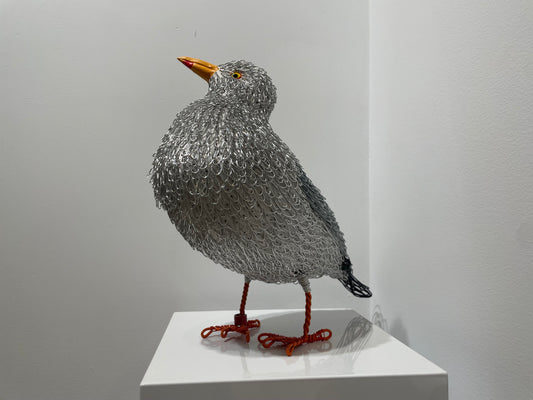 Harbour Master (Herring Gull)