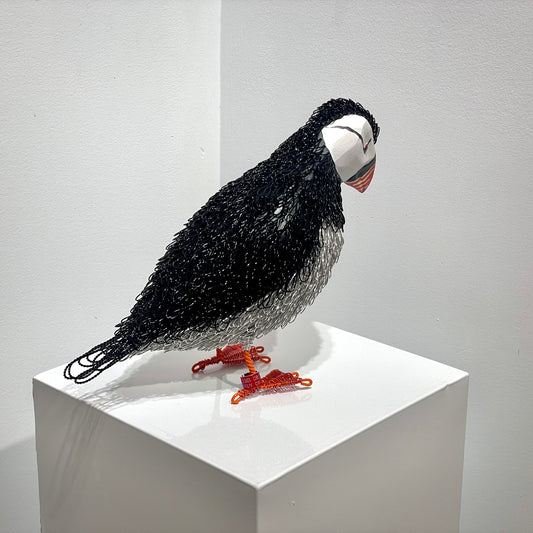 Phillip (Puffin)
