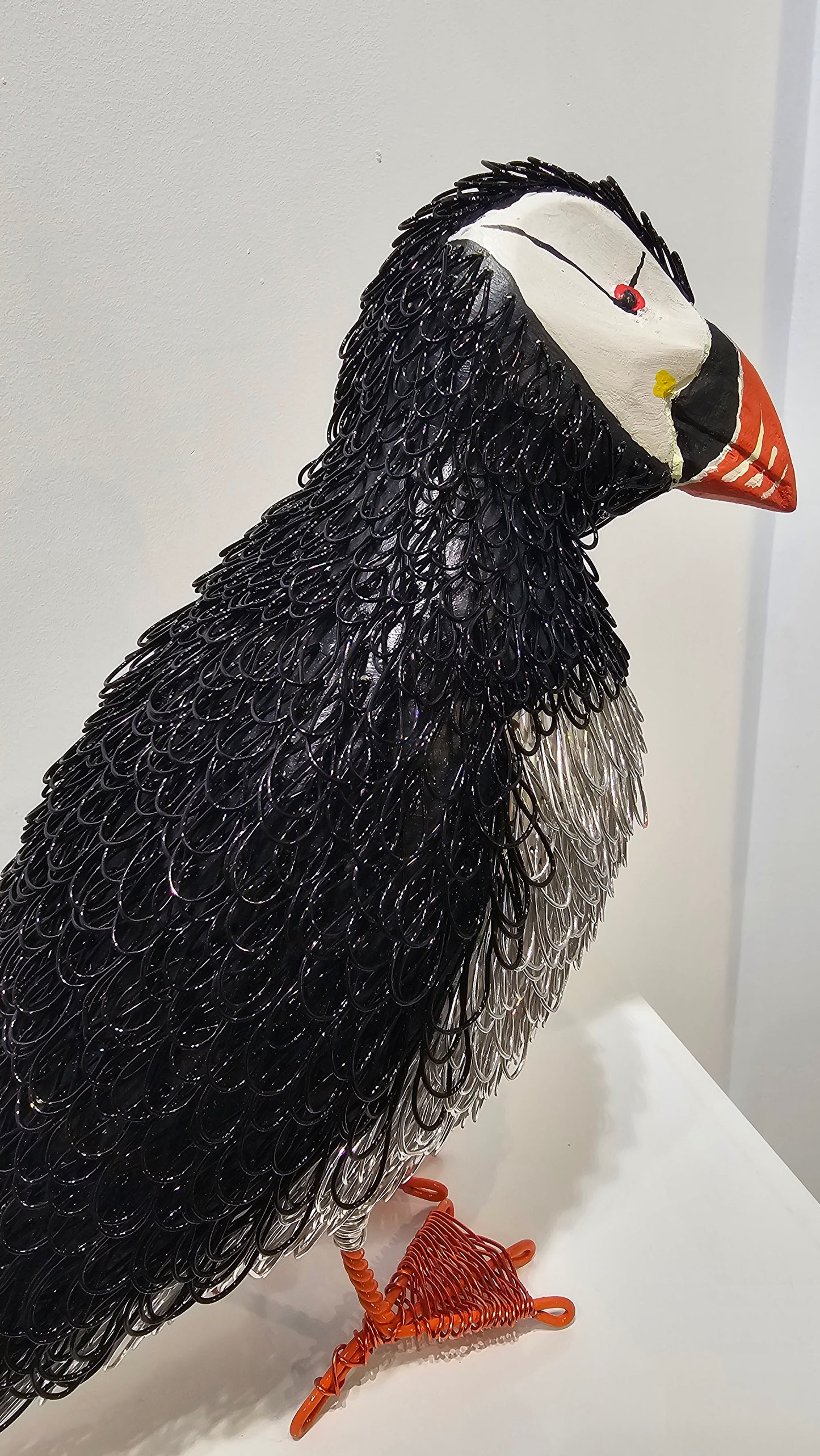 Petrie (Puffin)
