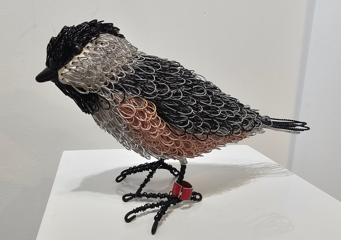 Peanut (Chickadee)