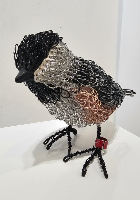 Peanut (Chickadee)