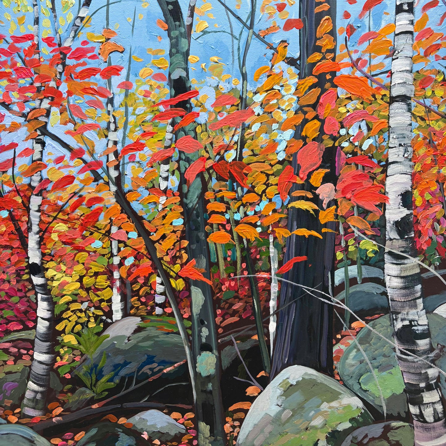 Woodland at the Back of Frog Pond