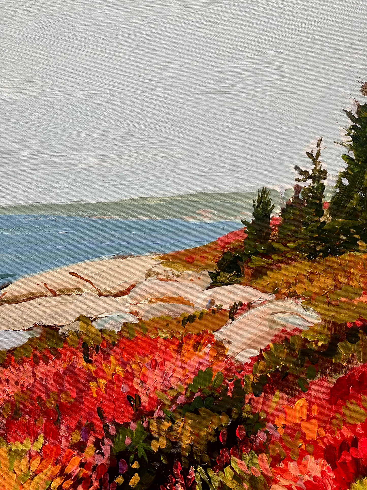 Herring Cove Trail, NS