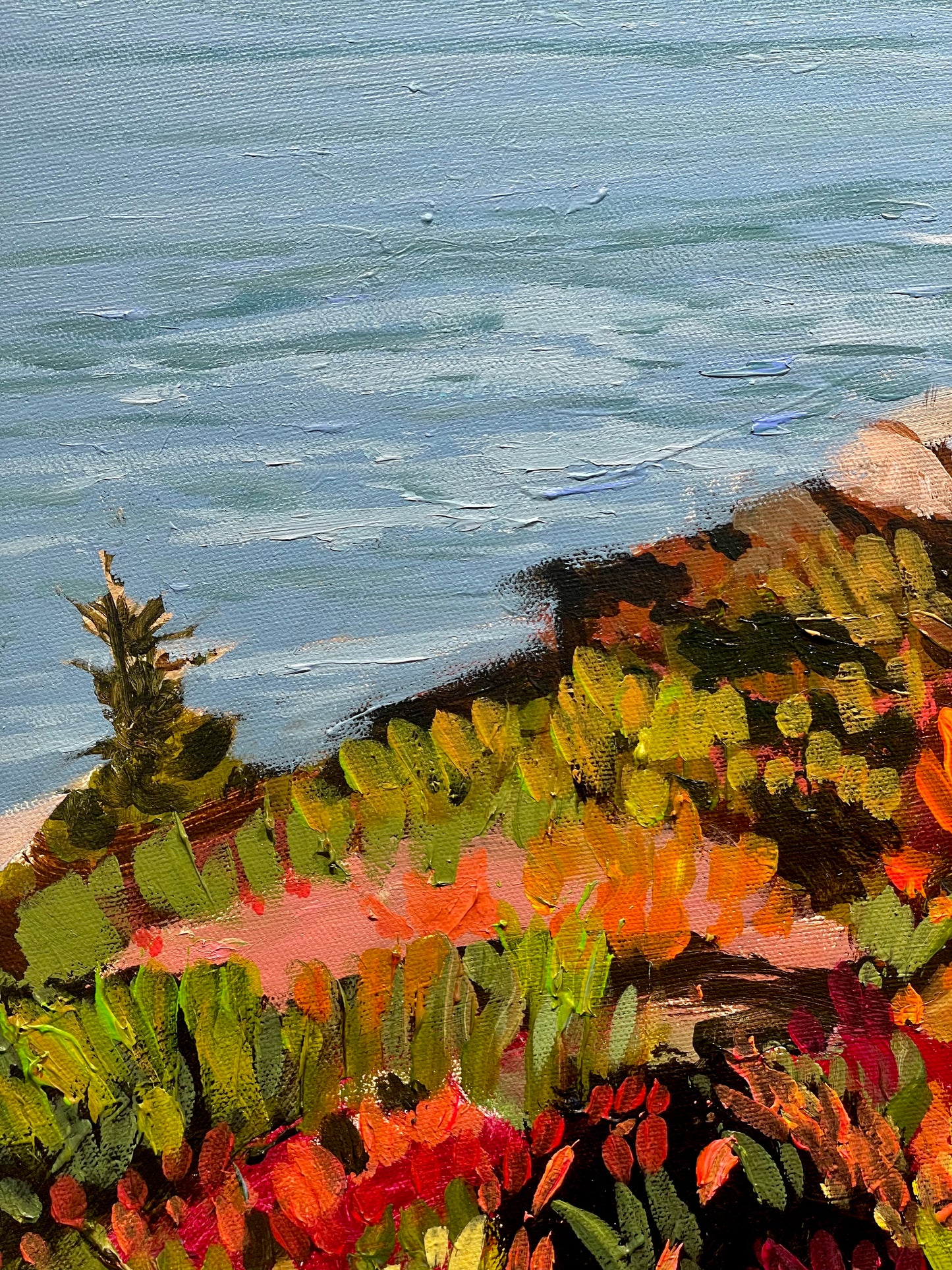 Herring Cove Trail, NS