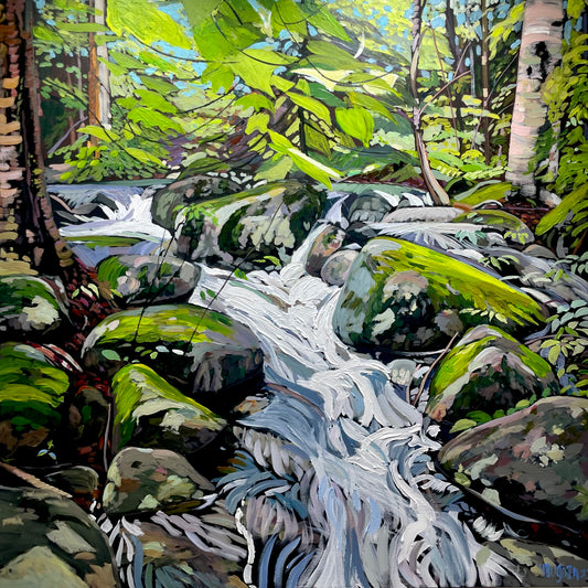 Little Stream Near Frog Pond