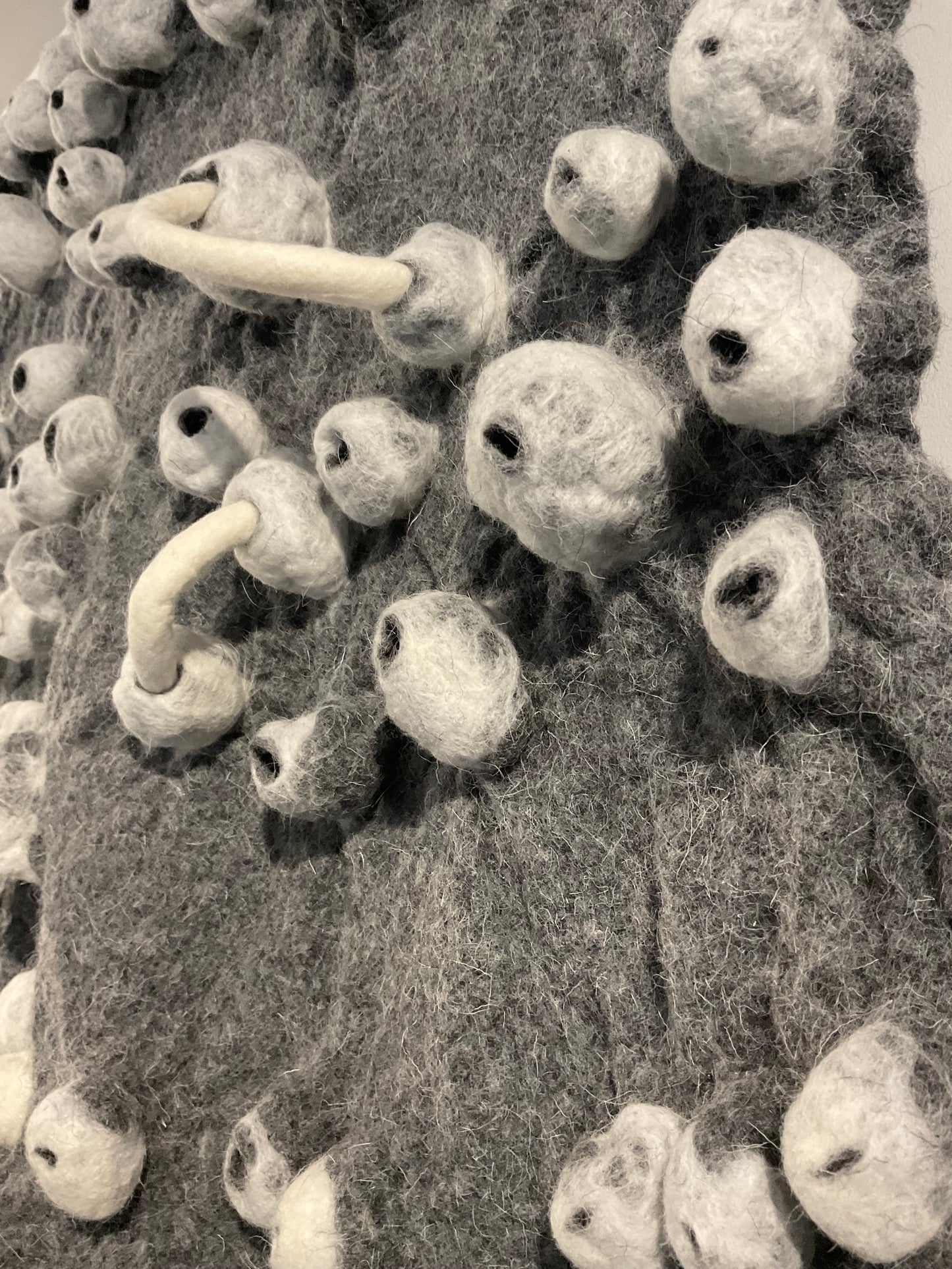 To the Rhythm of the Sea (Barnacle Series)