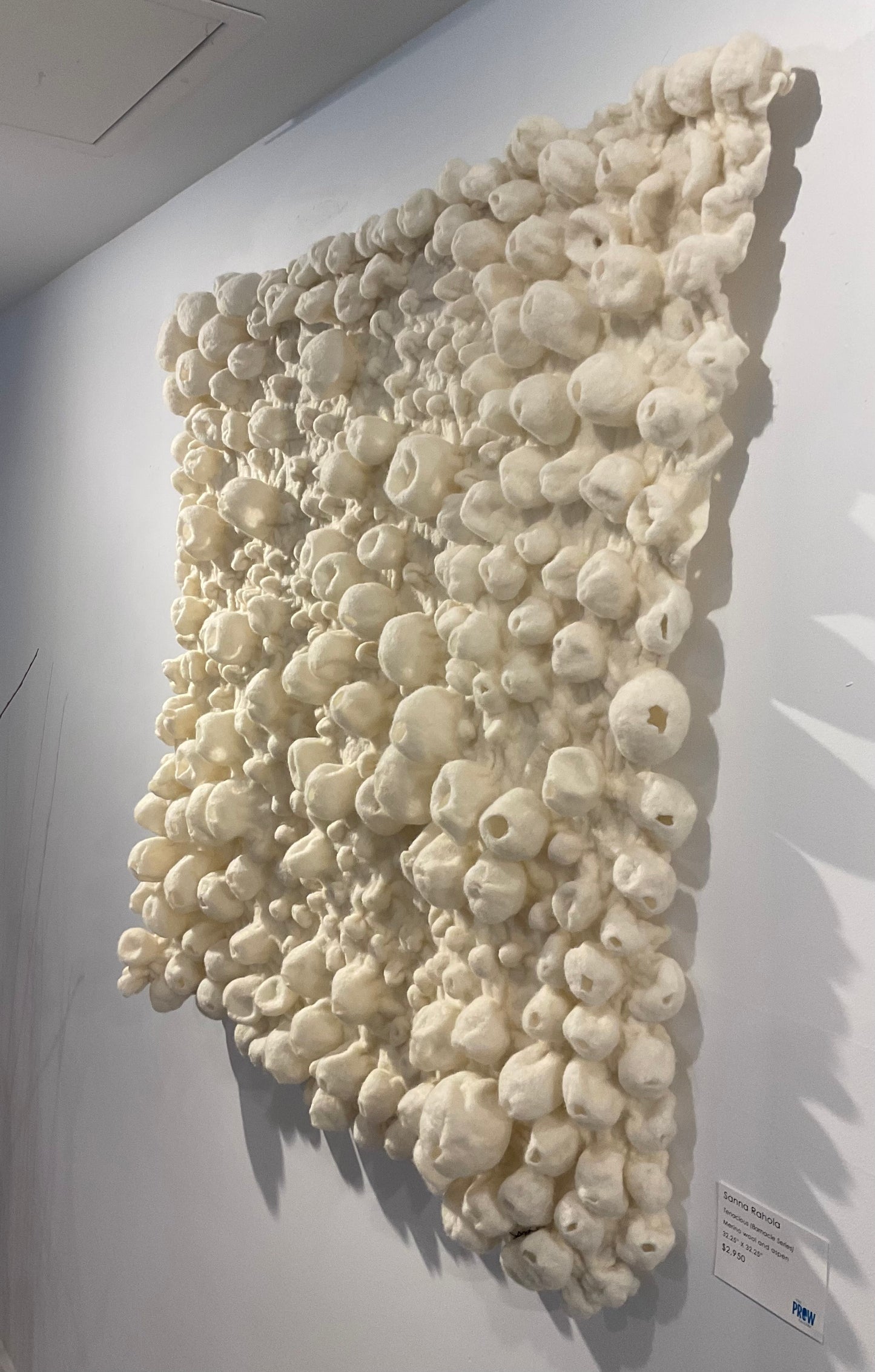 Tenacious (Barnacles Series)