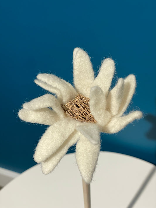 KUKKA #11 (SINGLE STEM)