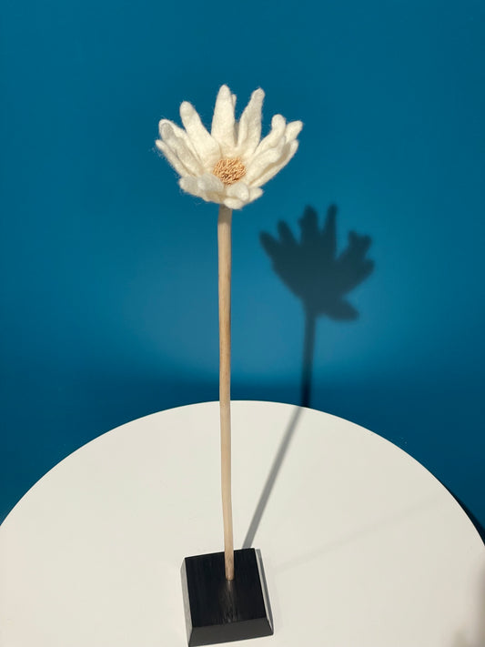 KUKKA #12 (SINGLE STEM)