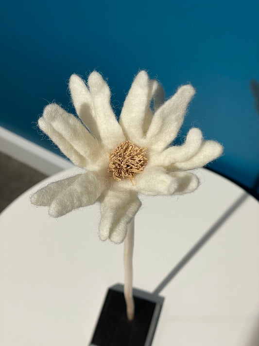 KUKKA #12 (SINGLE STEM)