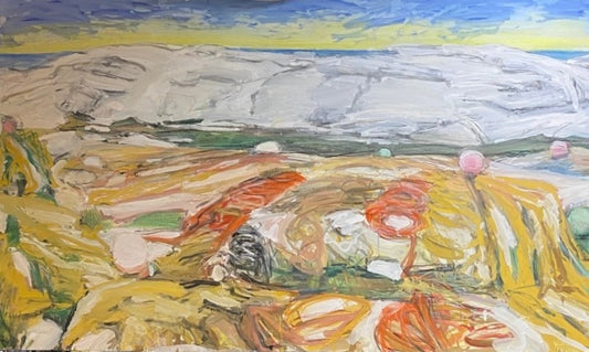 Peggy's Cove Community Mackerel Trap - Head Ropes, Nets and Buoys. Spread and Ordered on the White Rocks to Dry Off the Seaweed and the Fish Smell at the End of the Season