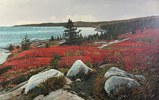 Herring Cove Views