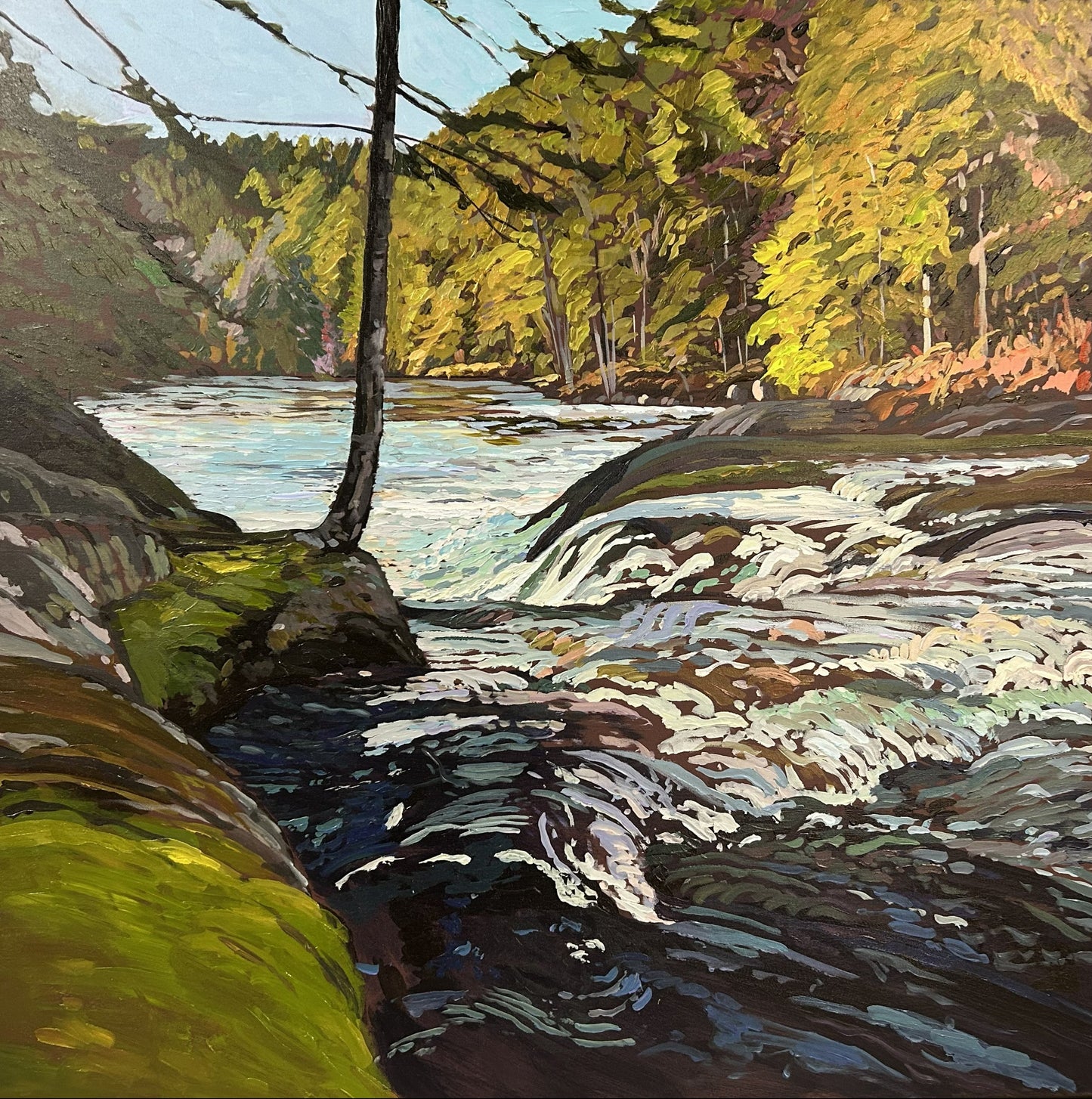 Mill Falls