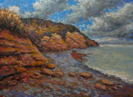 Beach on Blomidon Point