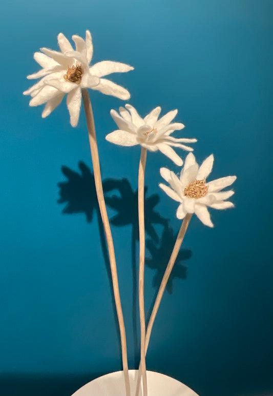 KUKKA #28 (TRIPLE STEM)