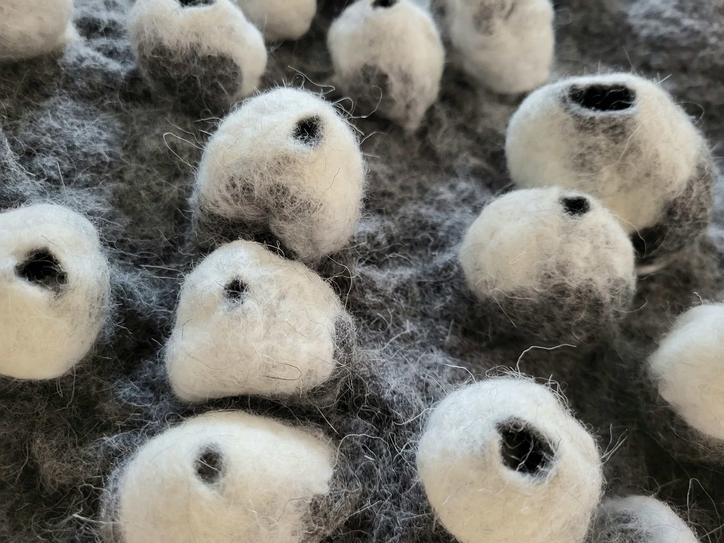 To the Rhythm of the Sea (Barnacle Series)