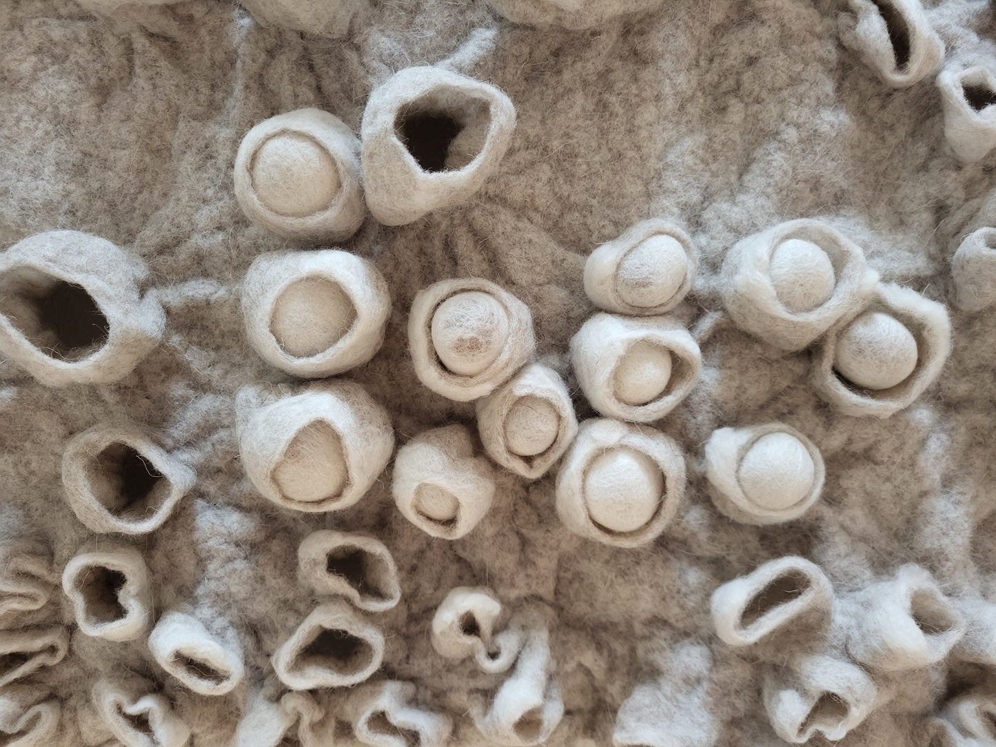 Love in the Sea (Barnacle Series)